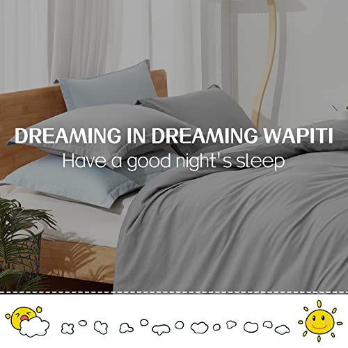 Dreaming Wapiti Duvet Cover Queen,Washed Microfiber Ice Grey Queen Size Duvet Cover Set,Solid Color - Soft and Breathable with Zipper Closure & Corner Ties (Ice Grey, Queen)