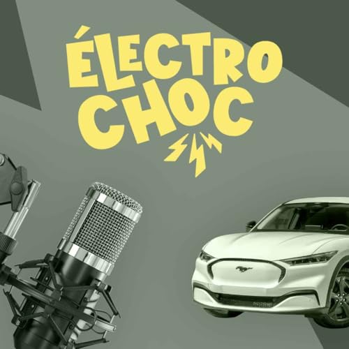 Voitures &eacute;lectriques : voici les mod&egrave;les qui se sont totalement plant&eacute;s en France en 2025