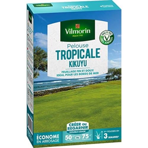 Vilmorin 4344512 Kikuyu tropisch gras, groen, 500 g