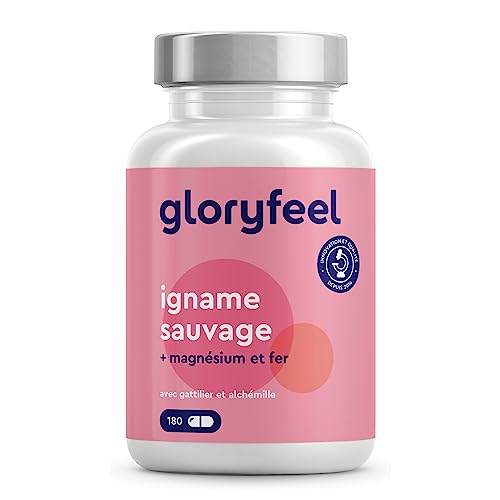 Extrait d'Igname Sauvage (312 mg) avec Gattilier, Alchémille, Magnésium et Fer (180 Capsules), Yam Pure et Hautement Dosée, Réduit la Fatigue et Soutient le Système Immunitaire*, 100% Végétalien