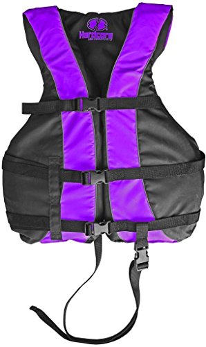 Hardcore Water Sports High Visibility Life Jacket Vest with Additional Leg Strap | USCG Approved PFD