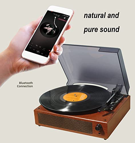 Tourne-Disque Vinyle Bluetooth Vintage Tourne-Disque 3 Vitesses pour disques Vinyle Haut-parleurs intégrés Stylet Rubis… - Les Beatles, Paul McCartney, John Lennon, RIngo Starr, George Harrison Tourne-Disque Vinyle Bluetooth Vintage Tourne-Disque 3 Vitesses pour disques Vinyle Haut-parleurs intégrés Stylet Rubis… – Image 4