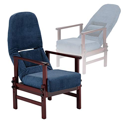 Amazon.co.jp: フランスベッド リハテック 背楽チェア SEC-01