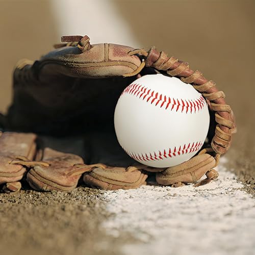 TMbsfatn Baseball 9-inch Baseball Game Training Special Baseball Rubber Filled Soft Baseball | Blank Ball | Autographed | Gift (6pc) - Thumbnail 7