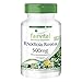 Rhodiola Rosea Kapseln 500mg - Rosenwurz Wurzel Extrakt - HOCHDOSIERT - 120 Kapseln - Vegan - 3% Rosavin (15mg) / 1% Salidrosid (5mg)
