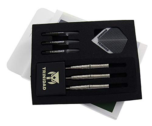 TRINIDADトリニダードMEDELメデル柿崎耀19.5g定価/11000円 TRiNiDAD】 Medel トリニダード メデル 柿崎 耀 ダーツ | ソフト