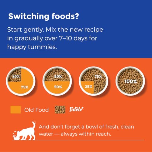 Image of Fidele+ Adult Small & Medium Dog Food | 900g | Small Kibble for Fussy Eaters | Prebiotics for Digestion | Healthy Skin & Coat | Real Chicken