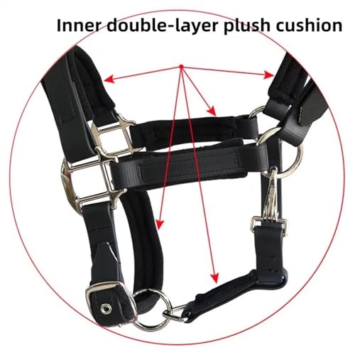 Licol de cheval rembourré ergonomique et confortable