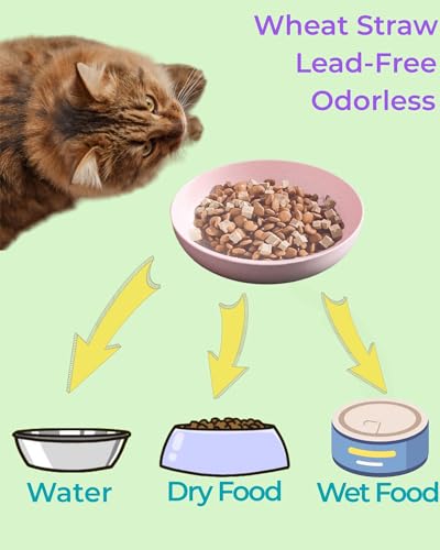 Zyutong CAT BOWLS 6 PCS 6-Pack Cat Food Bowl thumb #3