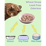 6-Pack Cat Food Bowl with Non Slip Feet, Whisker Fatigue Cat Dishes for Food, Shallow Kitten Bowls Set for Indoor Cats, 5.5" Flat Cat Plates for Wet Food - Image 4