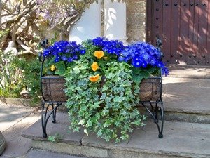 Gap Garden Products Black Regal Planter Range (Regal 600 Planter)