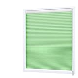 RONGJJ Plissee Wabenplissee Fenster Lichtdurchlässig, Umweltfreundlich Formaldehyd Frei Hohl Durchscheinend Blendschutz Balkon, Mehrere Größen (Color : Green, Size : 80x180cm), Green, 40x100cm