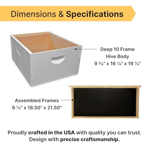 Mann Lake 10-Frame Deep Hive Kit, Fully Assembled 9⅝" Bee Hive Body with 10 Frames & Beeswax-Coated Plastic Foundation for Brood Replacement, Colony Growth & Honey Production, Made in USA, Painted
