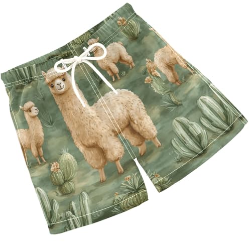 Pigsaly Boys' Swim Board Shorts Watercolor Green Cacti Cute Llama Alpacas Boy's Swim Trunks Kids Swimwear S
