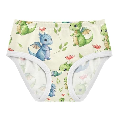 Cute Dragons Green Blue Toddler Girl Undies, Kids Underwear, 2T–8 Years