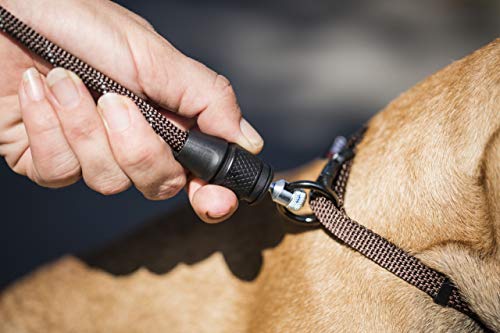 GOLEYGO Hundeleine Rope, Schwarz, Reflektiert leuchtend, Größe M 1,4-2m, Sicherer Magnetverschluss, Inkl. Adapter-Pin, Hundeleine für kleine & große Hunde bis 60kg, Maximale Belastung 200kg