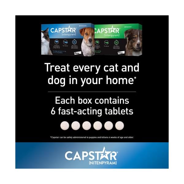 Capstar Oral Flea Treatment for Small Dogs and Cats Weighing 1 to 11 kg – Pack of 6 table in each box Capstar Oral Flea Treatment for Small Dogs and Cats Weighing 1 to 11 kg – Pack of 6 table in each box