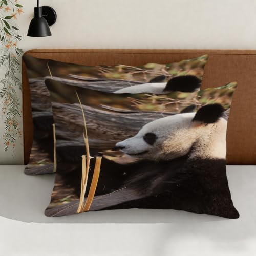Housse de couette panda 220x240 cm avec 2 taies d'oreiller microfibre - 5