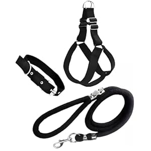 Agirav No Pull Dog Harness – Step In Dog Harness And Leash For Small Medium Large Dog – Escape Proof Adjustable Soft Leash Collar Set For Walking Training Hiking Outdoor, 15 Cm, 15 Cm