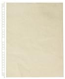 GBC Swing-Ring Presentation Sheet Protectors, Clear, 10 per Box (A7020105)