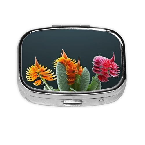 s{bNX gsJvg XNGA sP[X ~j ^ gxs{bNX zp ^ 킢 2Rp[gg  sI[KiCU[ |[^u sRei z_[ ̖p r^~