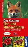 Der Kosmos Tier- und Pflanzenführer: 1000 Arten, 4000 Abbildungen - Frank Hecker 