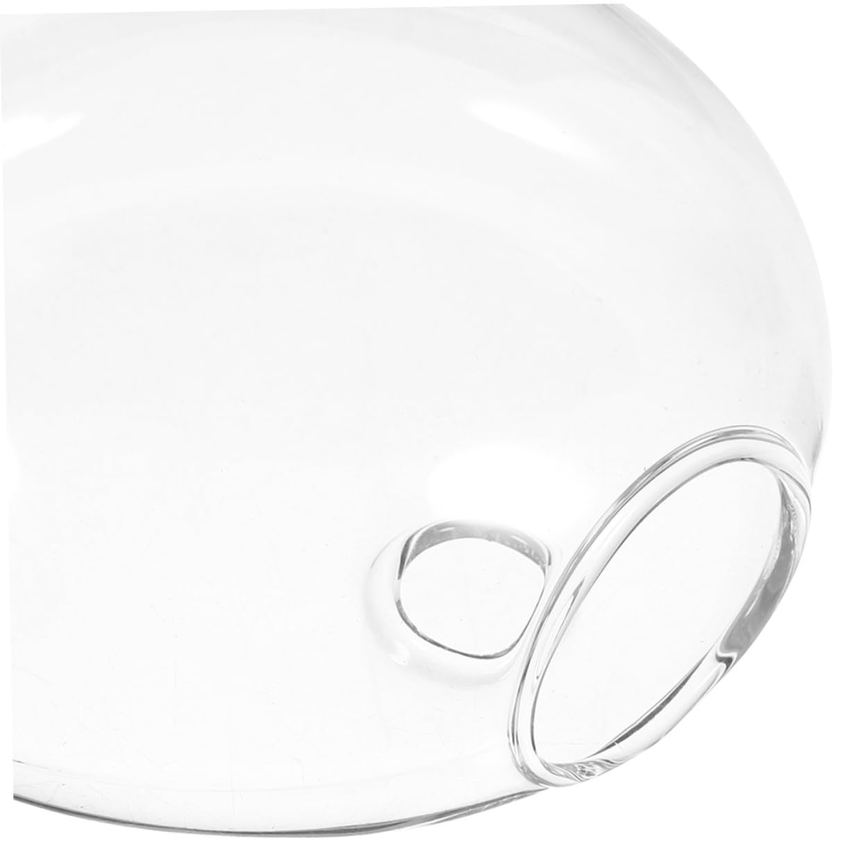 Gatuida Lot de 6 Vases Muraux Hydroponiques Transparents en Verre Compact, Support à Plantes Suspendu pour Décoration Intérieure, Jardin, Bureau et Centres de Table