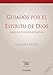 Guiados por el espíritu de Dios : curso de teología espiritual (Pelícano) - Belda Plans, Manuel