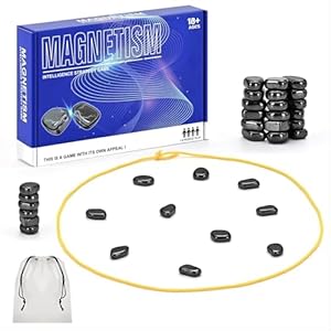 FLYGRRIV Magnetisches Schachspiel