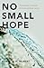 No Small Hope: Towards the Universal Provision of Basic Goods