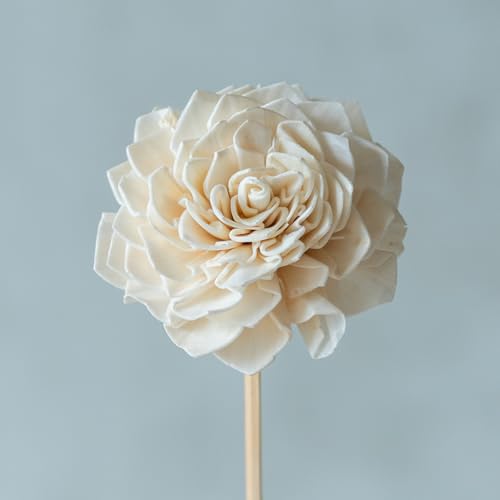 Image of White Sola Bingo 8 cm On Stem (10 Sticks) | Natural Dried Flower | Eco-Friendly Flowers for Home, Office, Bedroom, Table Decoration and Craft Items Corner (Without Vase Pot)