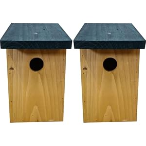 2 x Handy Home and Garden Pressure Treated Wooden Wild Bird House Wood Nesting Box HHGBF017 – Multi Buy Bundles…