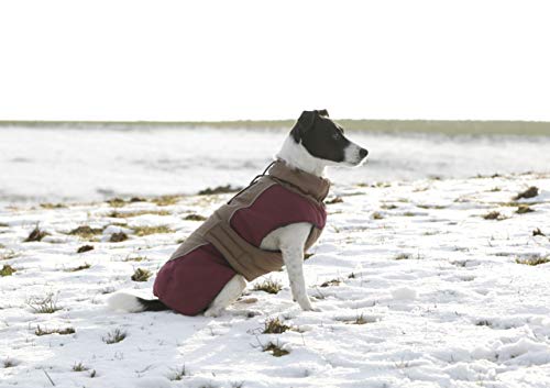 Kerbl 80655 Hundemantel Royal Pets, M (40 cm)