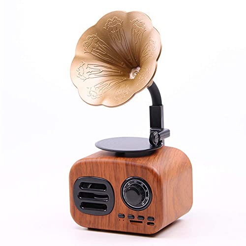 TAISK Fonógrafo Bluetooth Batería de Gran Capacidad Carga rápida Altavoz de Rango Completo Pequeño y portátil para Sala de Estar Dormitorio Estudio