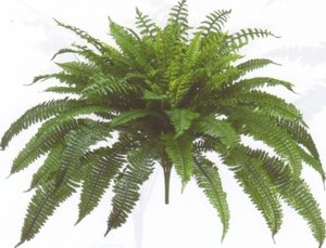 One Designer Quality 50 Inch Spread 92 Branch Artificial Silk Boston Fern Bush Plant Indoor Only #TOP13