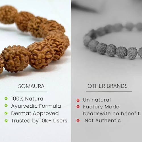 Image of Certified 7 Mukhi Nepali MahaLakshmi Siddh Rudraksha Bracelet for Men & Women | Brings Positive Energy ,Wealth & Success | Spiritual Healing Stretchable Divine Astrology Bracelet | AAA Grade Hand Picked 15 mm Rudraksha Beads - No Artificial Colors | Shani Dosha Remedy