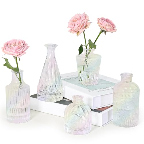 SUPMIND Glass Bud Vase Set of 5, Iridescent Small Flower