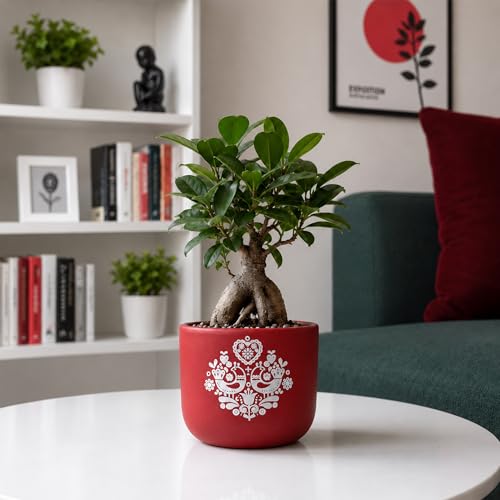 Image of Urban Plant Red Folk Art Handcrafted Terracotta Planter | Hand Painted Artisan Indoor Clay Pot for Living Room | Unique Decorative Flower Pot | Home Decor Gift | Drainage Hole | 4.5 Inch