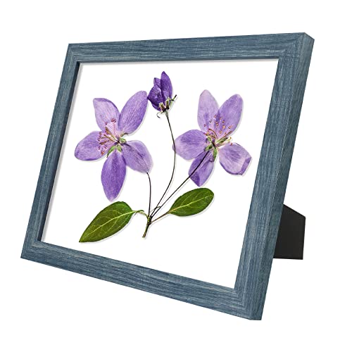 Frametory, 8.5X11 Picture Frame With Glass, Tabletop & Wall Horizontal Or Vertical Display, 8 1/2 X 11 Photo Frame For Diploma, Documents (Blue, 2-Pack) #TOP1