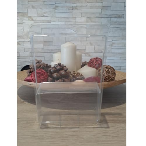 Protectores Hot Wheels Premium/Boulevard Cajas Transparentes de Plástico para Exhibición, Set de 10 Unidades, Pack Protector Hot wheels