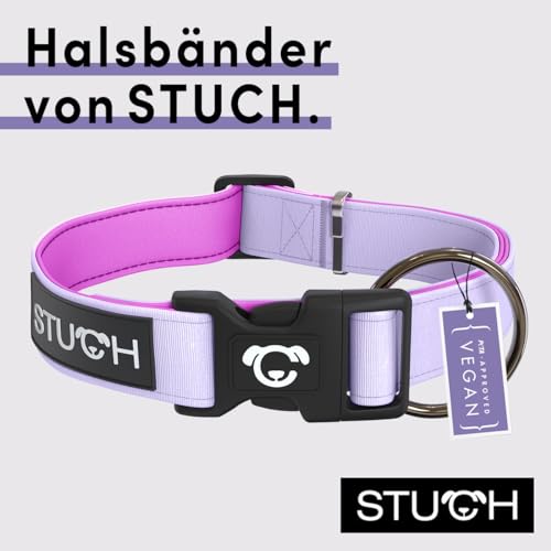 STUCH Hundehalsband - verstellbares und gepolstertes Nylon Hunde Halsband - Für kleine, mittlere und große Hunde, Farbe:Flieder, Größe:M (2,0cm x 34-55cm)