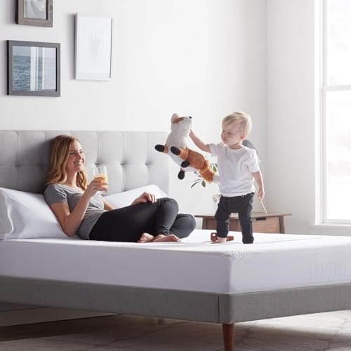 Recopilación de Protectores de almohada favoritos de las personas. 23 Protectores de almohada marca LUCID (2)