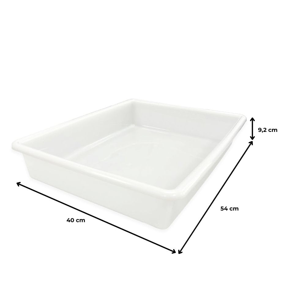 Pack 10 Bandeja Alimentaria Resistente 15L Sin BPA Cocinas y Restaurantes | 54x40x9,2cm. Sin BPA. Ideal para comedores, colegios, mercados, panaderías, pizzerías y conservación de alimentos.