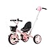WENJIE Bicicleta Triciclo De Dirección Bidireccional Triciclo Bebé Dispositivo De Cinturón De Seguridad con Campanas Divertidas Coche De Juguete for Niños (Color : Pink)