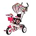 WECDS Tricicli per Bambini con tettuccio con Bicicletta Classica per Bambini Triciclo per Bambini (Colore : Rosso)