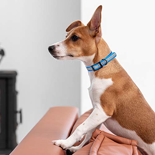 Dogline Biothane Translucent Reflective Waterproof Dog Collar Strong Coated Nylon Webbing With Black Hardware Odor- Proof For Easy Care Clean Fits Small Medium Or Large Dogs - Pink 1" W X 18"-22" L #TOP7