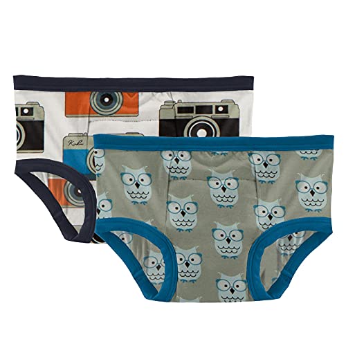 KicKee Pants Training Pants Underwear Set, Soft Printed Underwear for Potty Training, Set of 2, Boy and Girl (Mom's Camera & Silver Sage Wise Owls - 3T-4T)