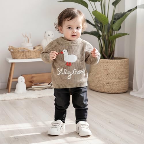 Toddler Baby Boy Girl Goose Sweater Silly Goose Embroidery Knit Sweater Crewneck Sweatshirt Fall Winter Clothes2
