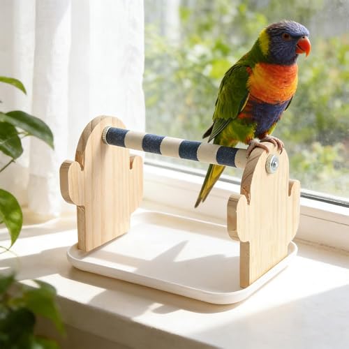 Perchoir à oiseaux avec jouet interactif enrichissant pour inséparables