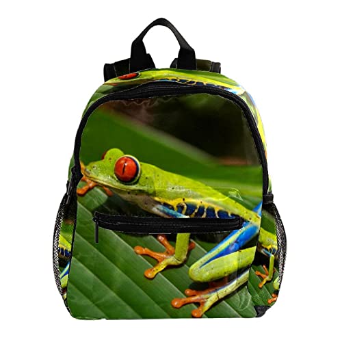 Sac à dos grenouille 30,5 cm pour enfants, filles et garçons